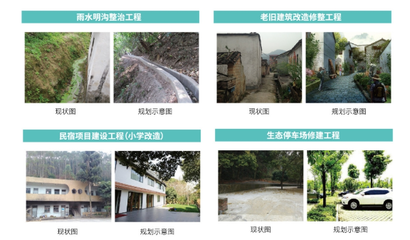 森林養(yǎng)生、戶外探險(xiǎn)…高明兩條美麗鄉(xiāng)村啟動建設(shè)_南方plus_南方+