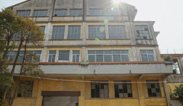 廣州荒廢20多年的一景區,景象荒涼卻“意外走紅”,游客源源不斷