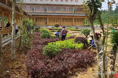 云臺山的游客服務中心即將竣工 敬請期待云臺山風景區的服務中心