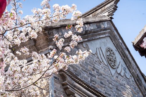 春花古建兩相宜 一樹杏花開, 彭城往事 引客來